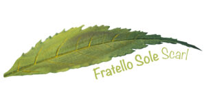 fratello-sole_logo_r