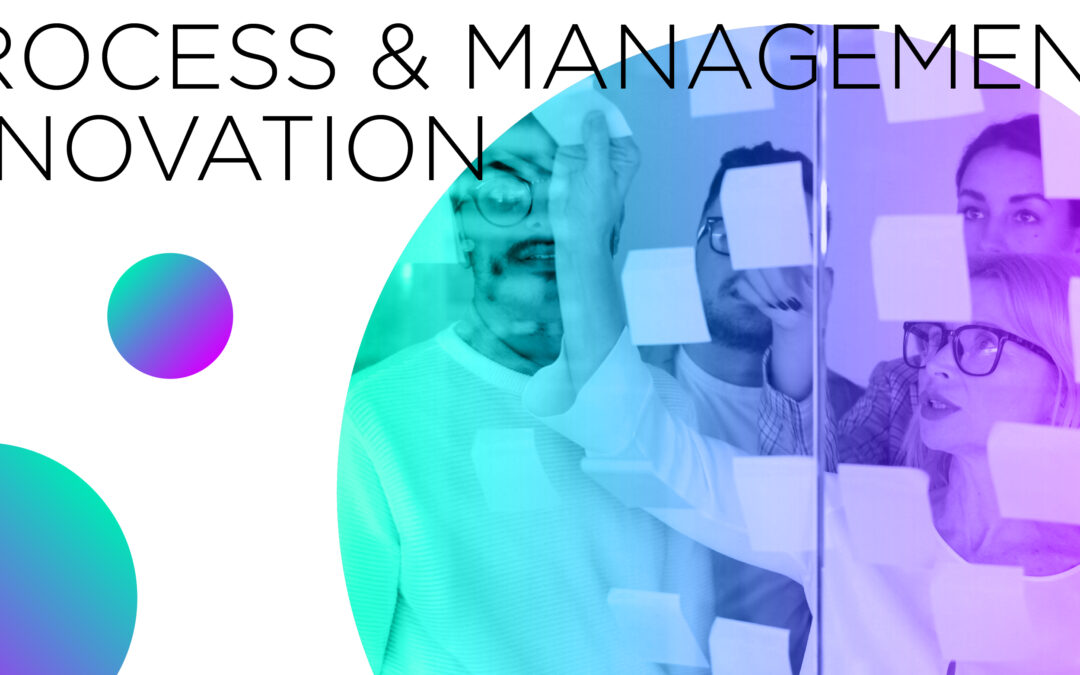 Le nostre competenze: Process & Management Innovation